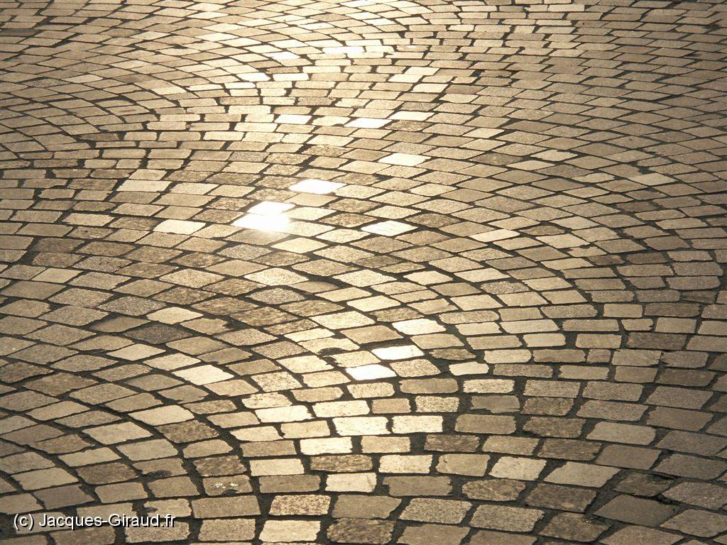 2005-04-15 07-48-55 Avril 145,0mm 1_400_eme F9,0.JPG